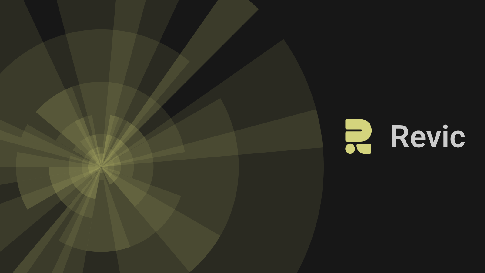 67cb474212b6381c19112614_Revic AI